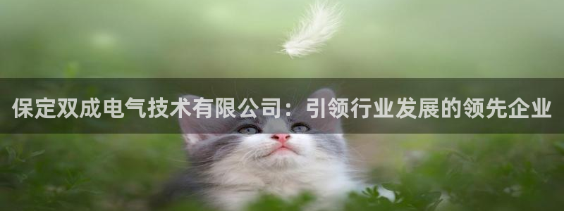 凯发娱乐官方网