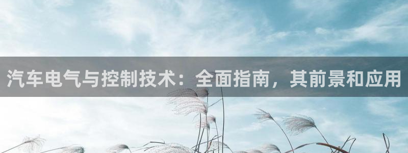 凯发网网站