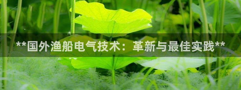 凯发平台敌7O777