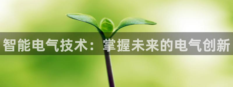 凯发平台风采：智能电气技术：掌握未来的电气创新