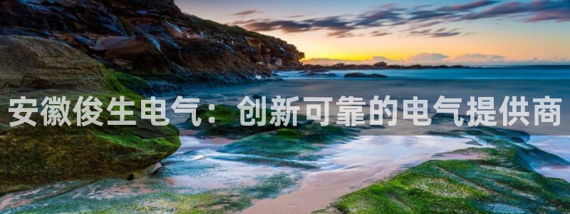 凯发k8客户端：安徽俊生电气：创新可靠的电气提供商
