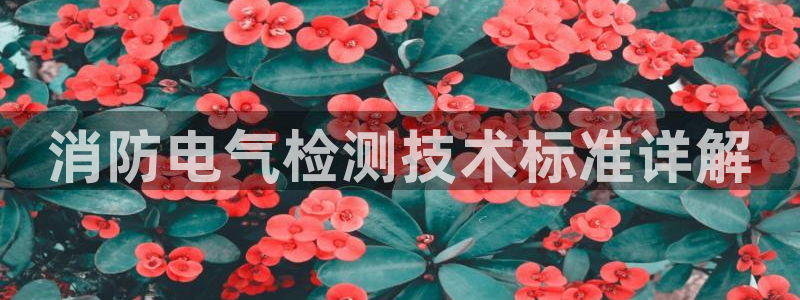 凯发k8国际下载：消防电气检测技术标准详解